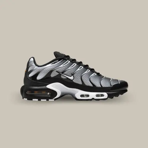 Nike Air Max Plus TN Black Grey