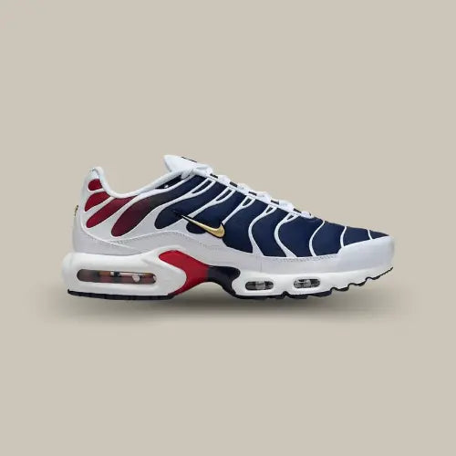 Nike Air Max Plus TN PSG