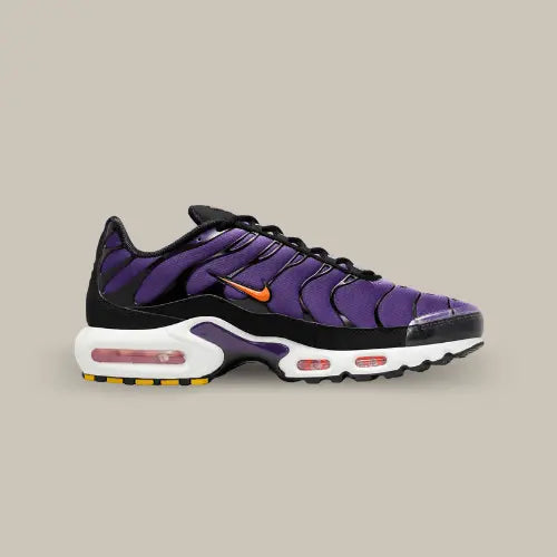 Nike Air Max Plus TN Voltage Purple